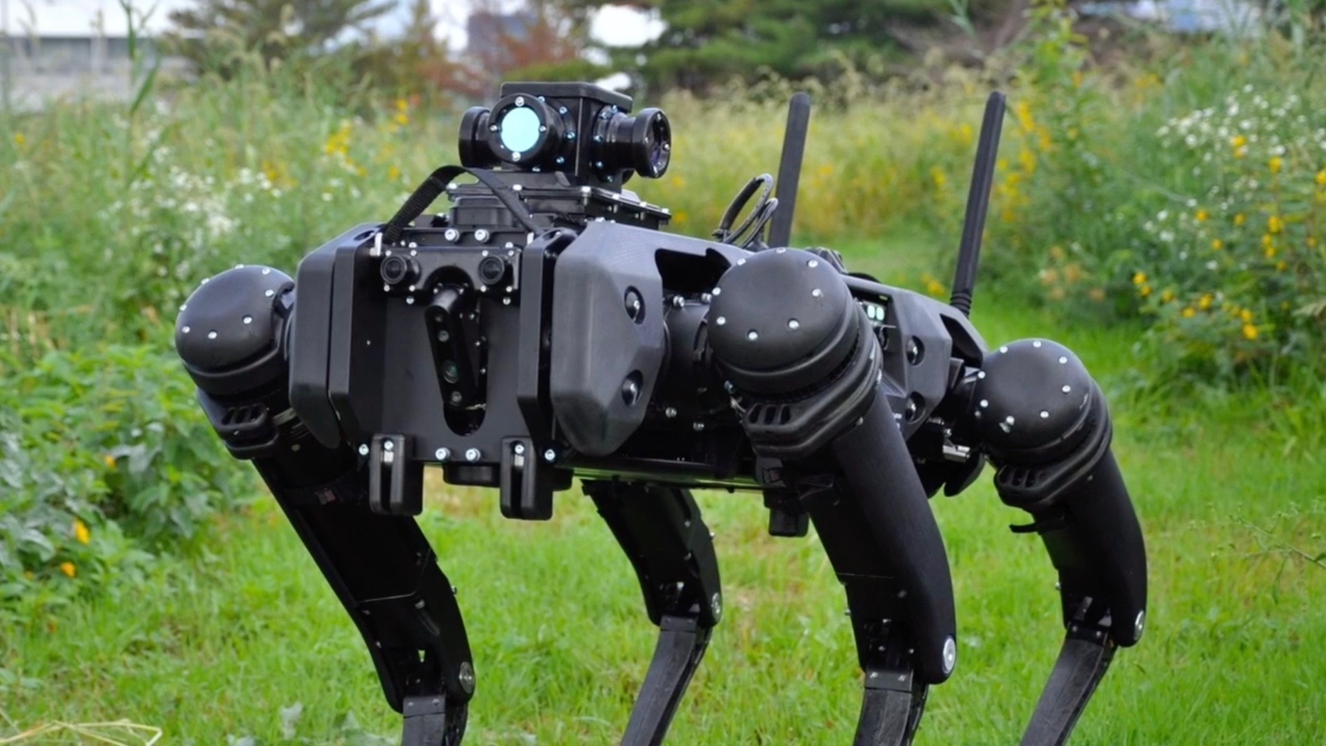 US testing robot patrol dogs on borders