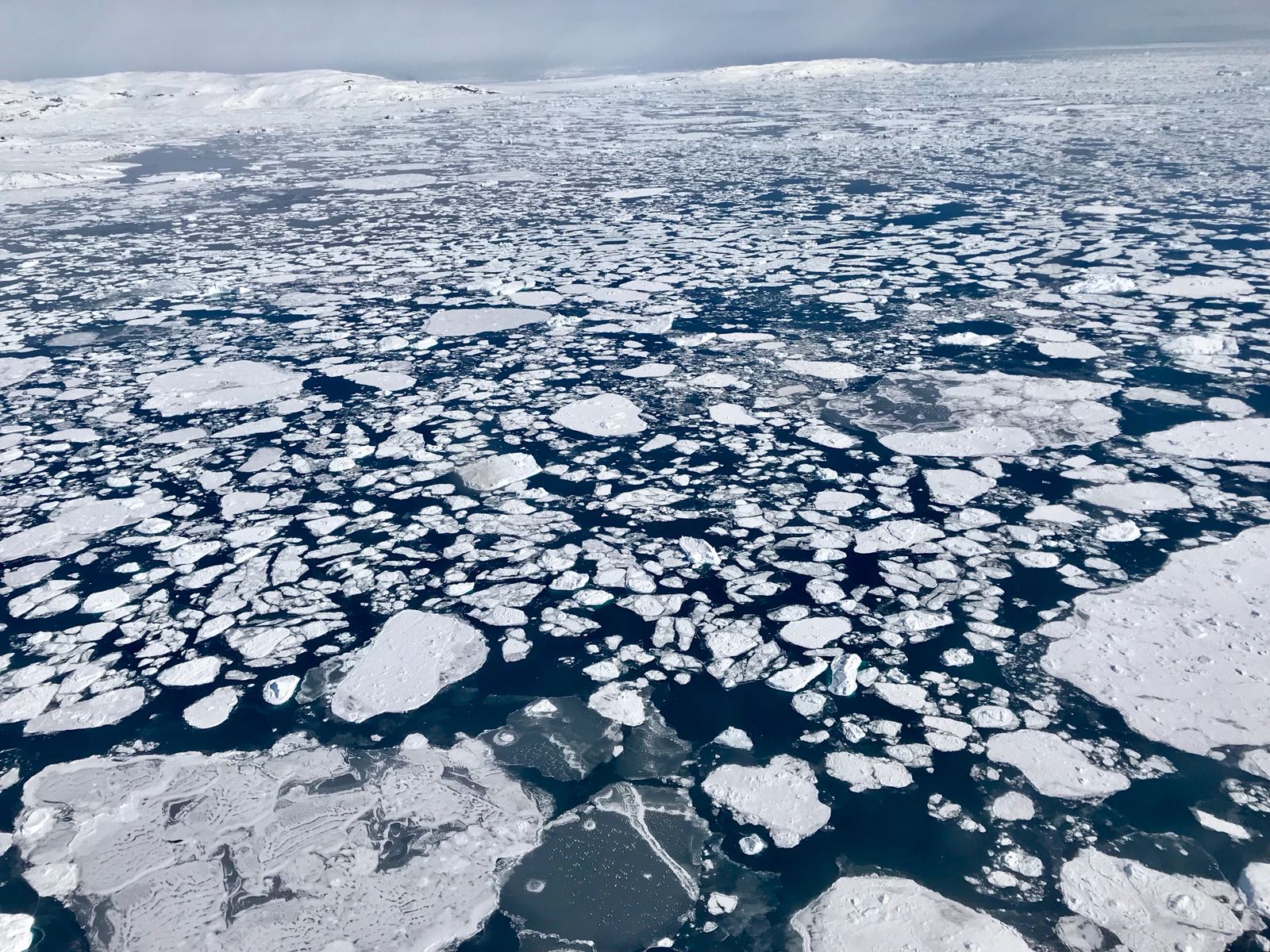 2022 Arctic winter sea ice 10th-lowest on record: NASA